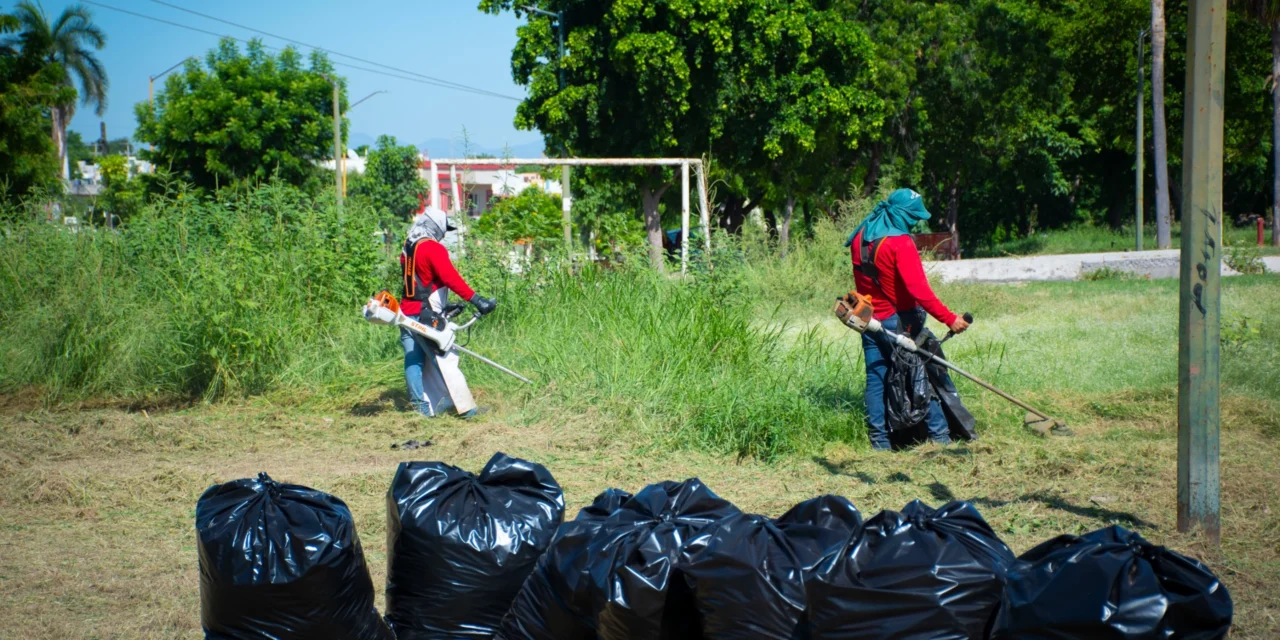 PARQUES Y JARDINES REALIZA TRABAJOS DE MANTENIMIENTO EN EL PARQUE LINEAL SENDERO DE PAZ